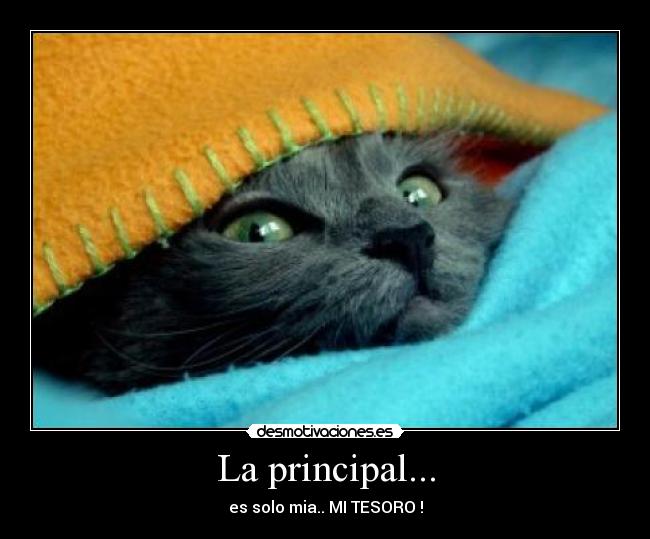 La principal... -
