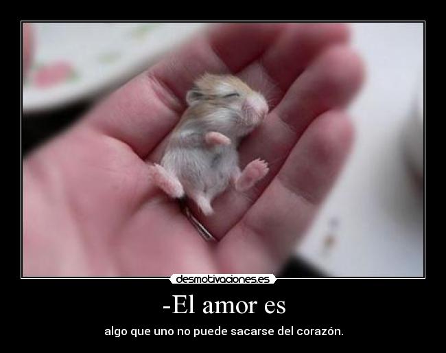 -El amor es - 