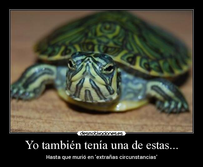 Yo también tenía una de estas... - Hasta que murió en extrañas circunstancias