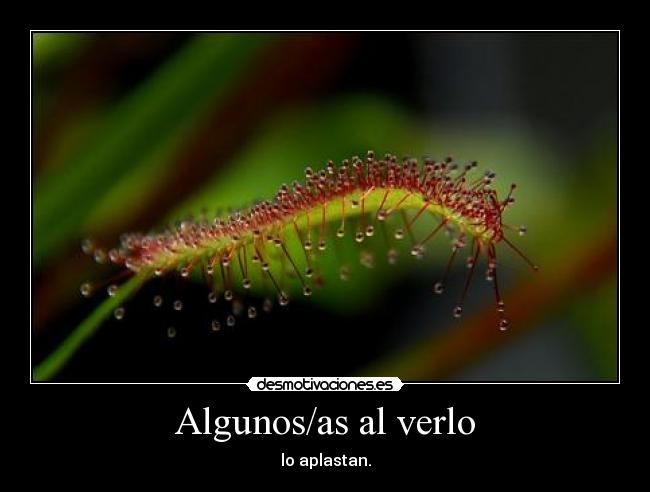 Algunos/as al verlo -