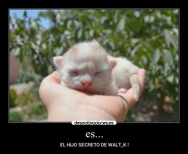 es... - EL HIJO SECRETO DE WALT_K !