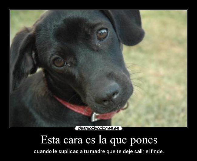 Esta cara es la que pones -