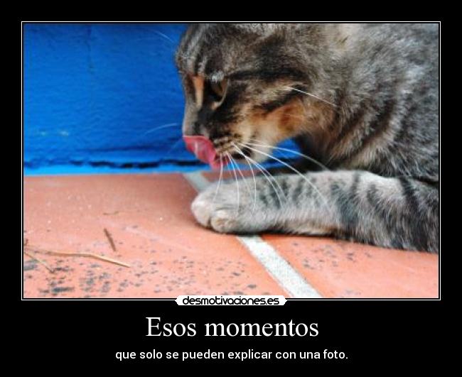 Esos momentos -