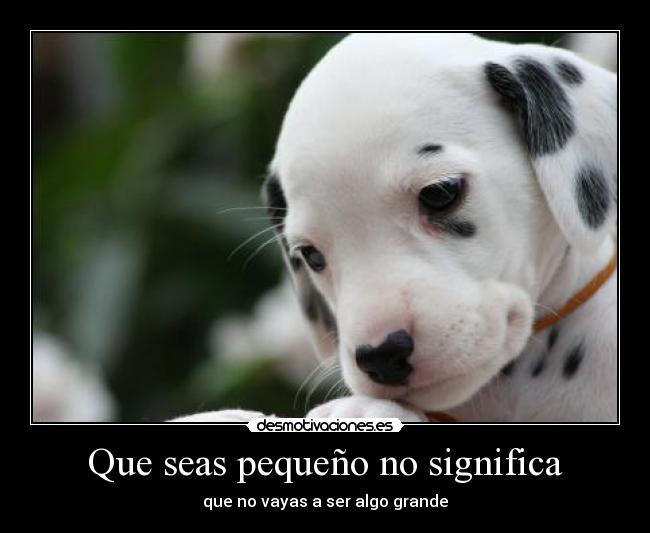 Que seas pequeño no significa - 