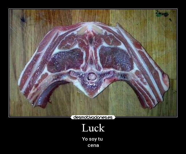 Luck - Yo soy tu 
cena