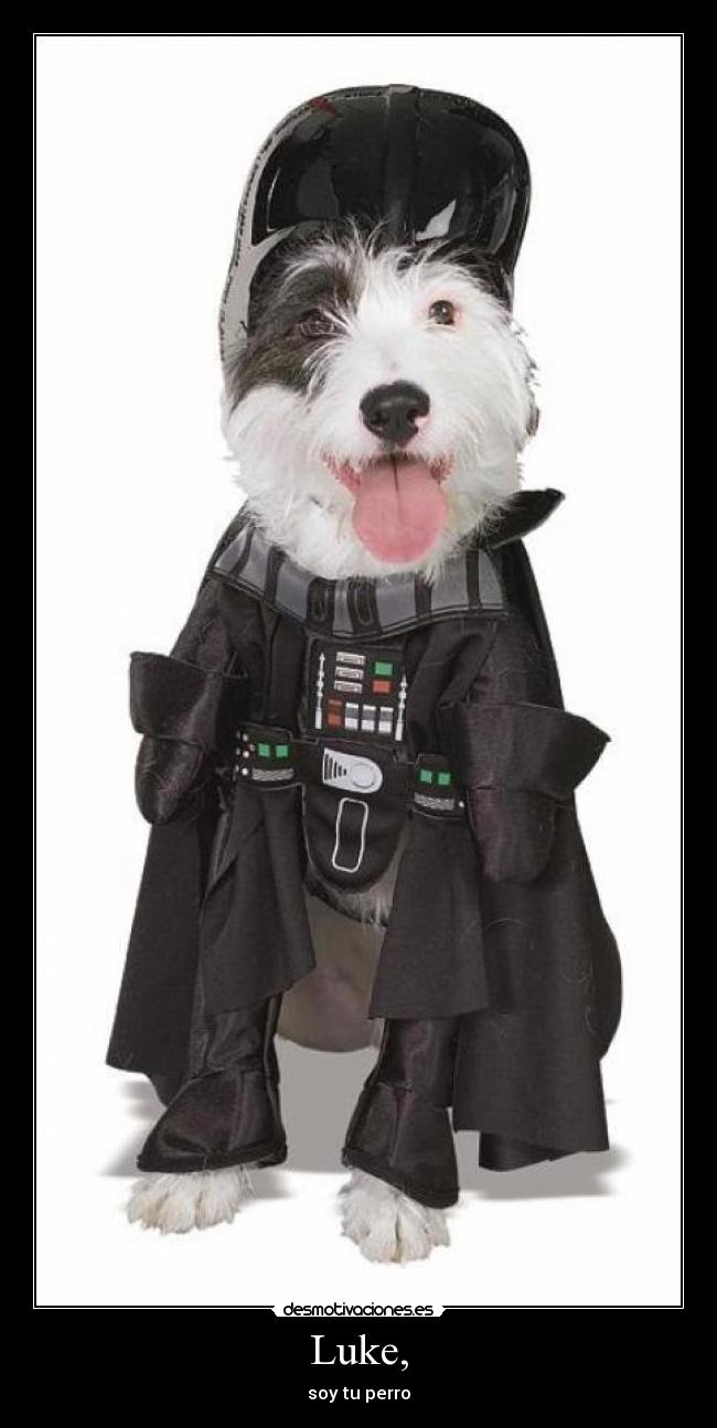 Luke, - soy tu perro