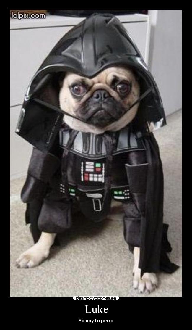 Luke - Yo soy tu perro