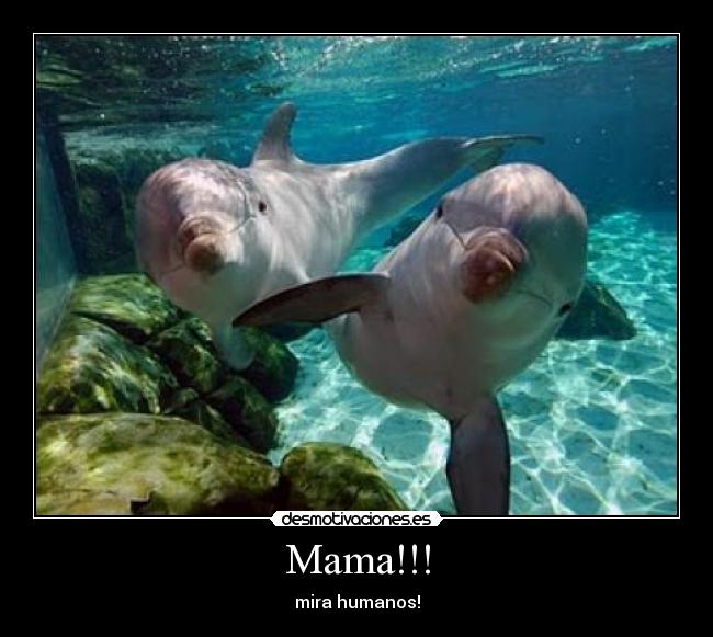 Mama!!! -