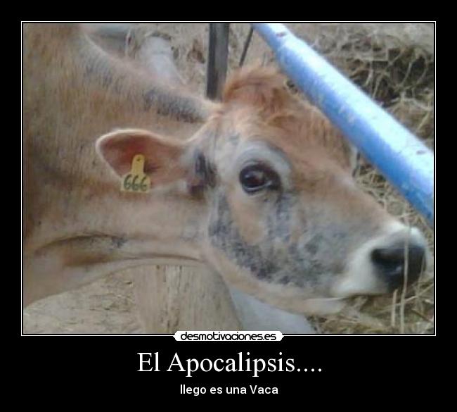 El Apocalipsis.... -
