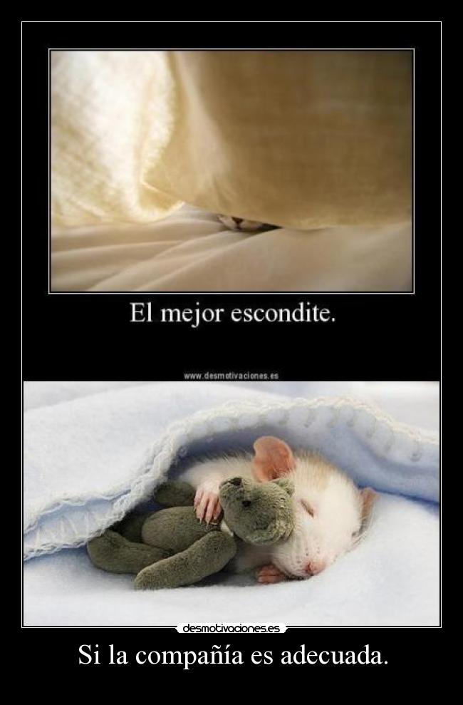 Si la compañía es adecuada. -