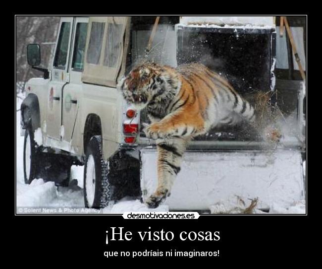 ¡He visto cosas - 