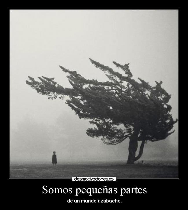 Somos pequeñas partes - 