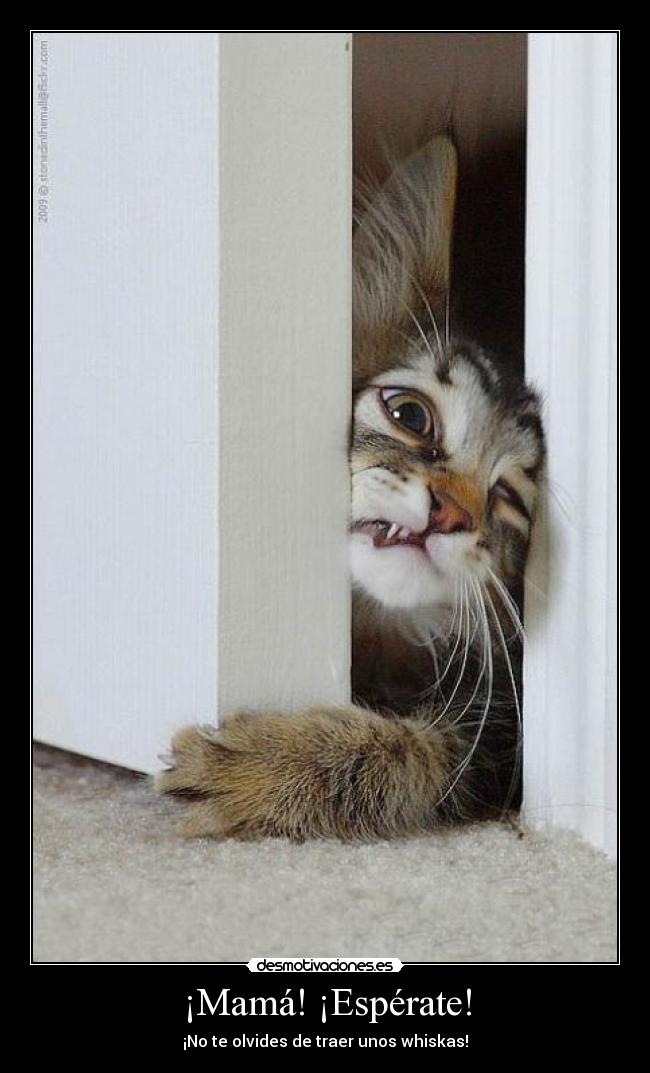 ¡Mamá! ¡Espérate! - 