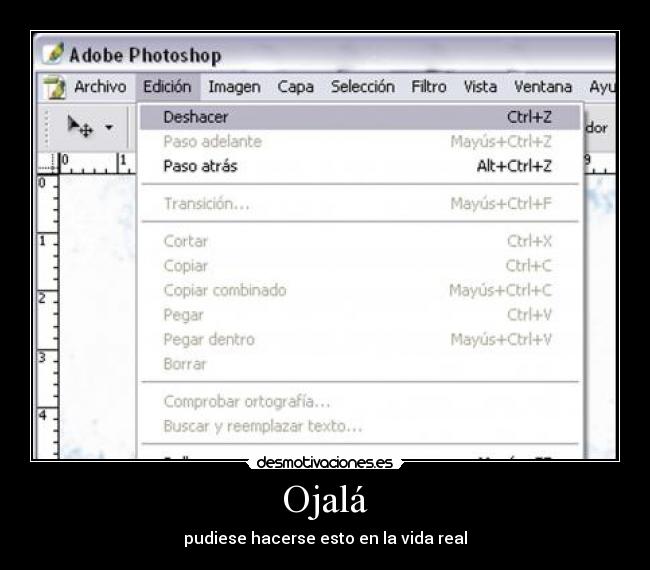 Ojalá - pudiese hacerse esto en la vida real
