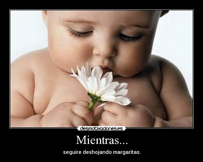 Mientras... - seguire deshojando margaritas.