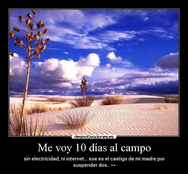 carteles jajajaja eskoq desmotivaciones