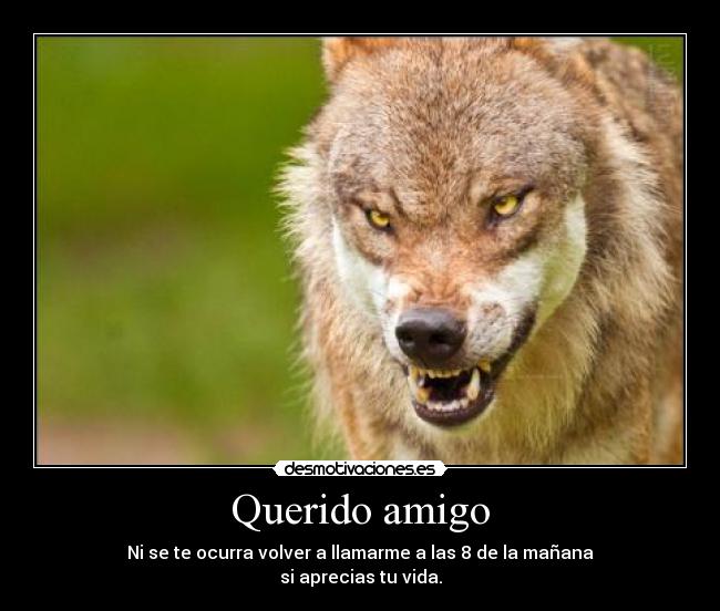 Querido amigo - Ni se te ocurra volver a llamarme a las 8 de la mañana
si aprecias tu vida.