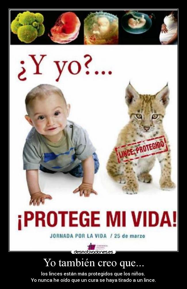 Yo también creo que... - los linces están más protegidos que los niños. 
Yo nunca he oído que un cura se haya tirado a un lince.