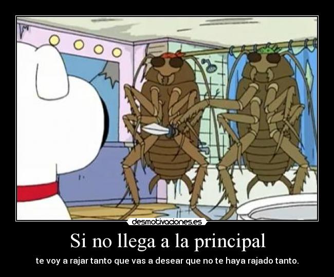 carteles principal padre familia cucarachas peligrosas brian perro desmotivaciones