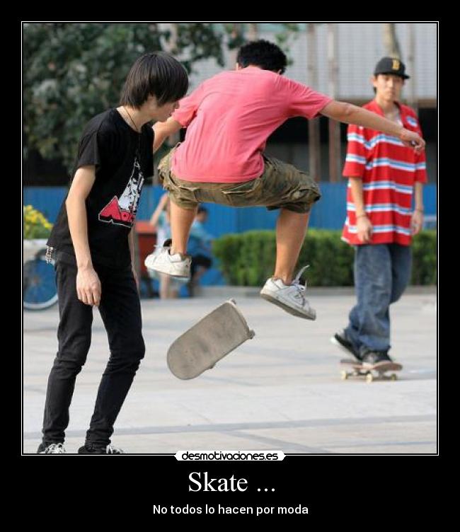 carteles skate die porque estoy arto que gente diga que hago skate por moda desmotivaciones
