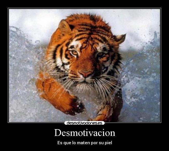 Desmotivacion - 