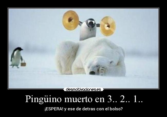 Pingüino muerto en 3.. 2.. 1.. - 