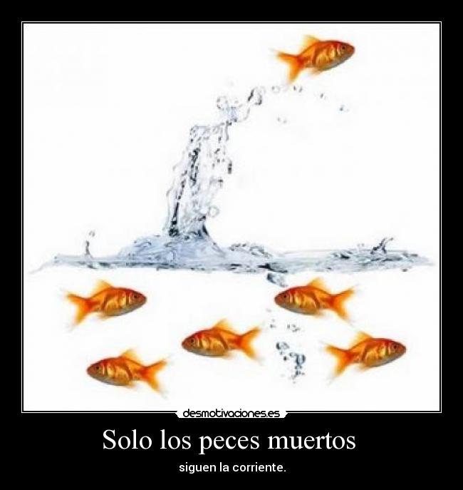 Solo los peces muertos - siguen la corriente.