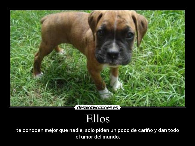 carteles ellos desmotivaciones