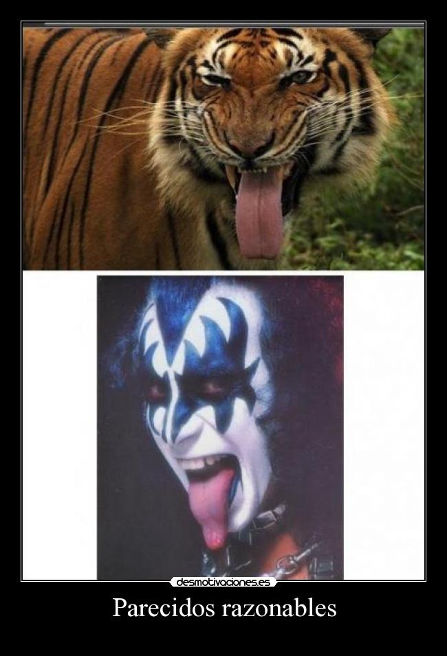 Parecidos razonables -