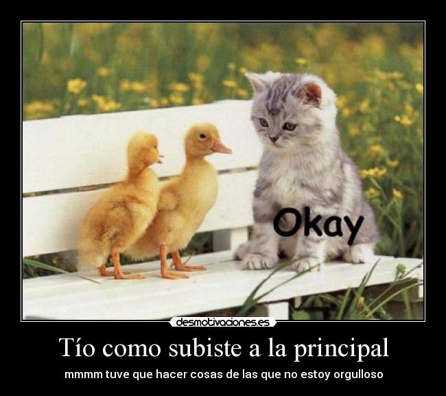 Tío como subiste a la principal -