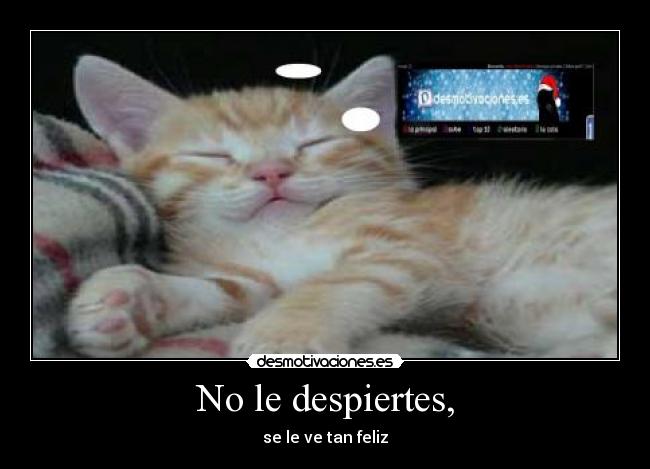 No le despiertes, -