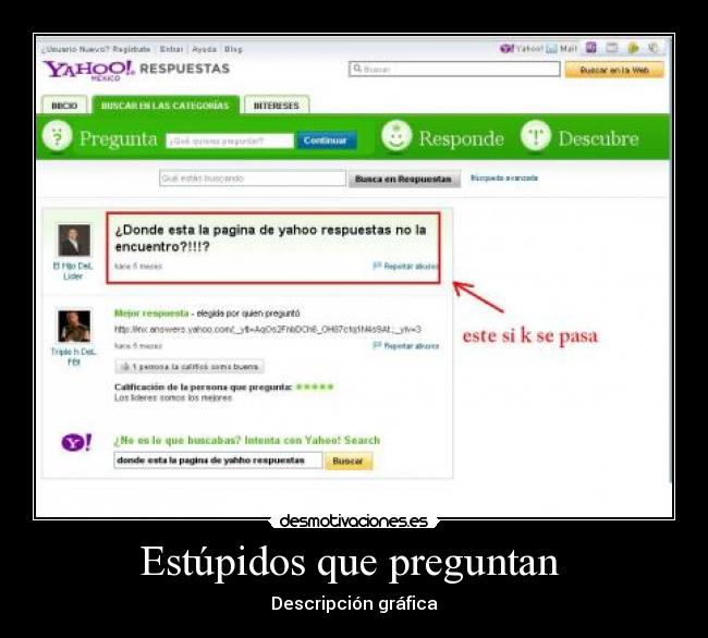 Estúpidos que preguntan - Descripción gráfica