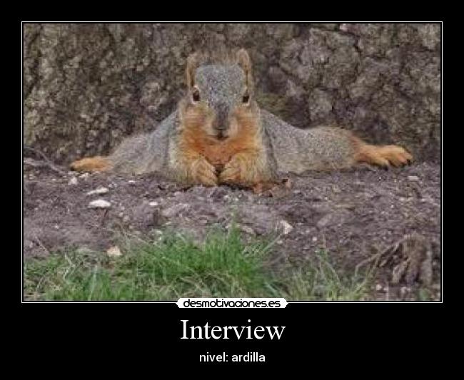 Interview - nivel: ardilla
