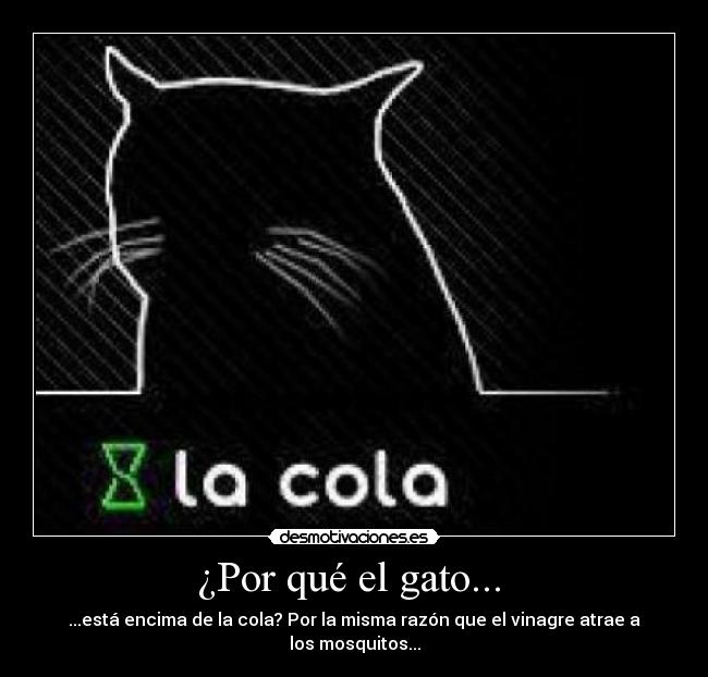 ¿Por qué el gato...  - ...está encima de la cola? Por la misma razón que el vinagre atrae a los mosquitos...