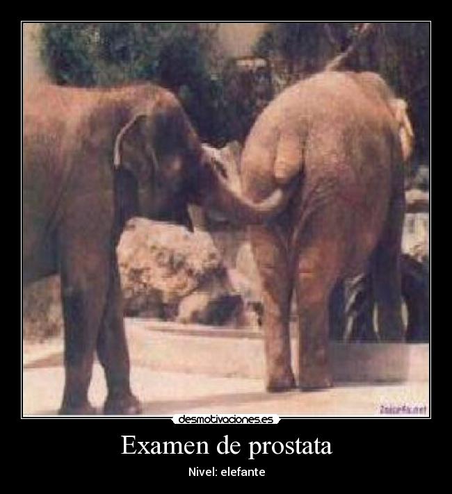 Examen de prostata - 