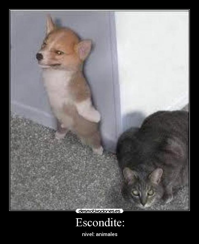 Escondite: - nivel: animales