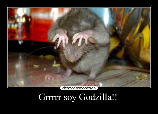 Grrrrr soy Godzilla!! -