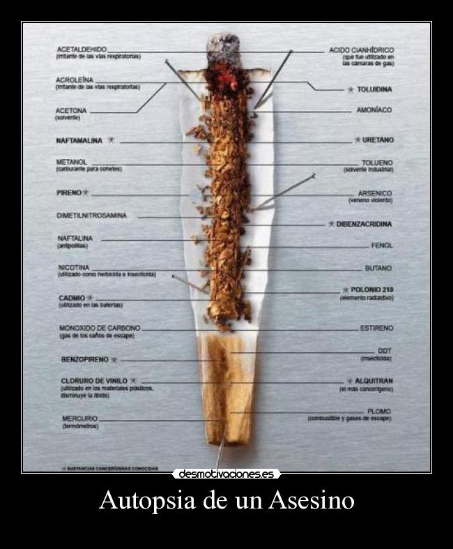 Autopsia de un Asesino -