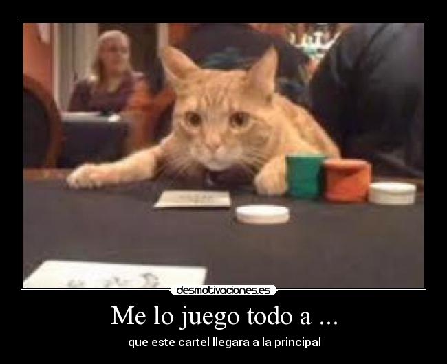 Me lo juego todo a ... - que este cartel llegara a la principal