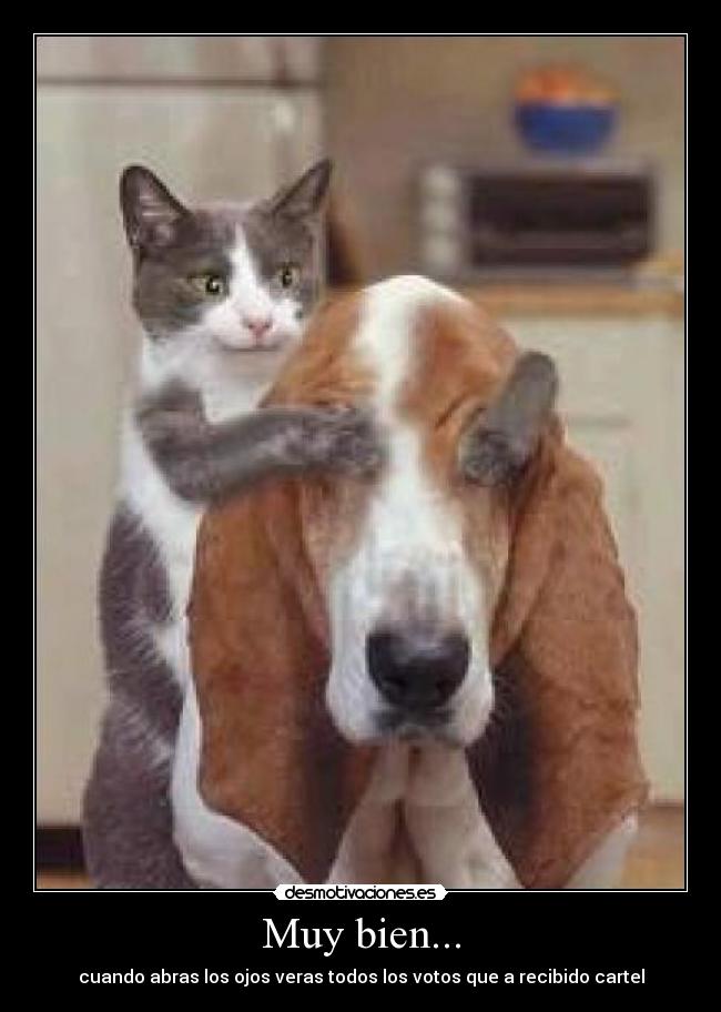 Muy bien... - cuando abras los ojos veras todos los votos que a recibido cartel