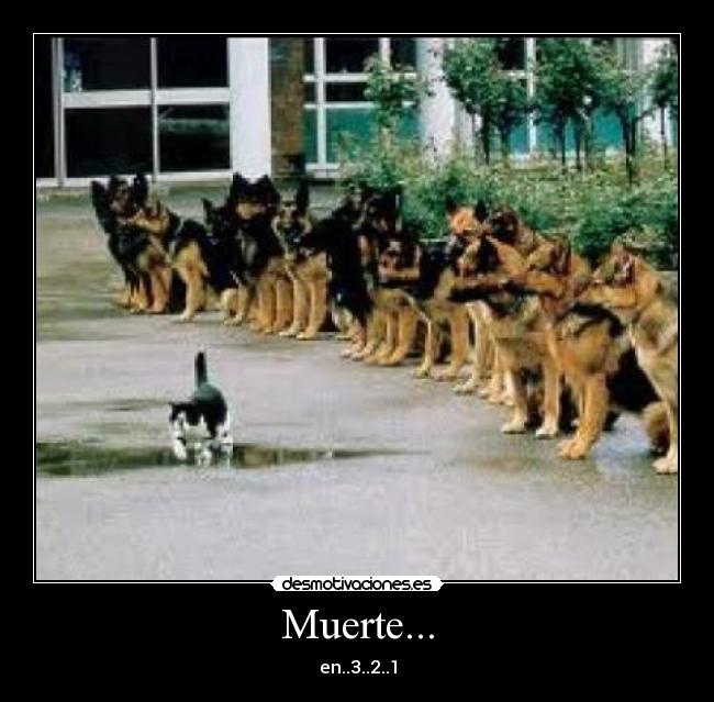 Muerte... - en..3..2..1