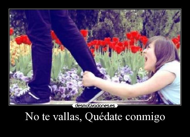 carteles vallas quedate conmigo desmotivaciones