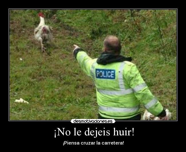 ¡No le dejeis huir! - ¡Piensa cruzar la carretera!