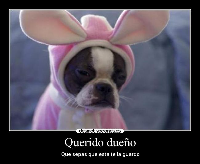 Querido dueño - Que sepas que esta te la guardo