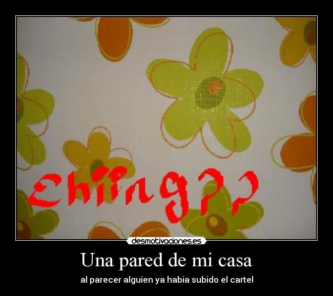 Una pared de mi casa -