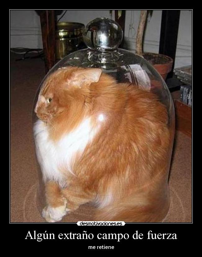 Algún extraño campo de fuerza -