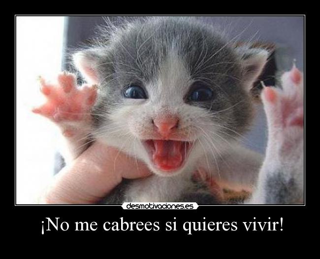 ¡No me cabrees si quieres vivir! - 