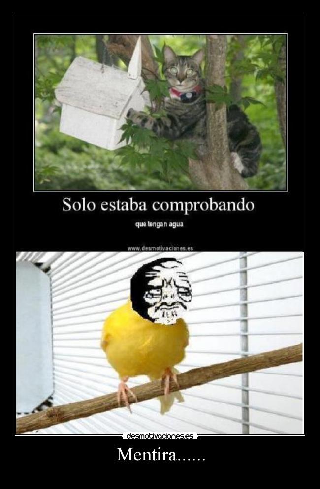 carteles mentira bc desmotivaciones