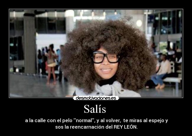 Salís  -  a la calle con el pelo normal, y al volver,  te miras al espejo y
sos la reencarnación del REY LEÓN.