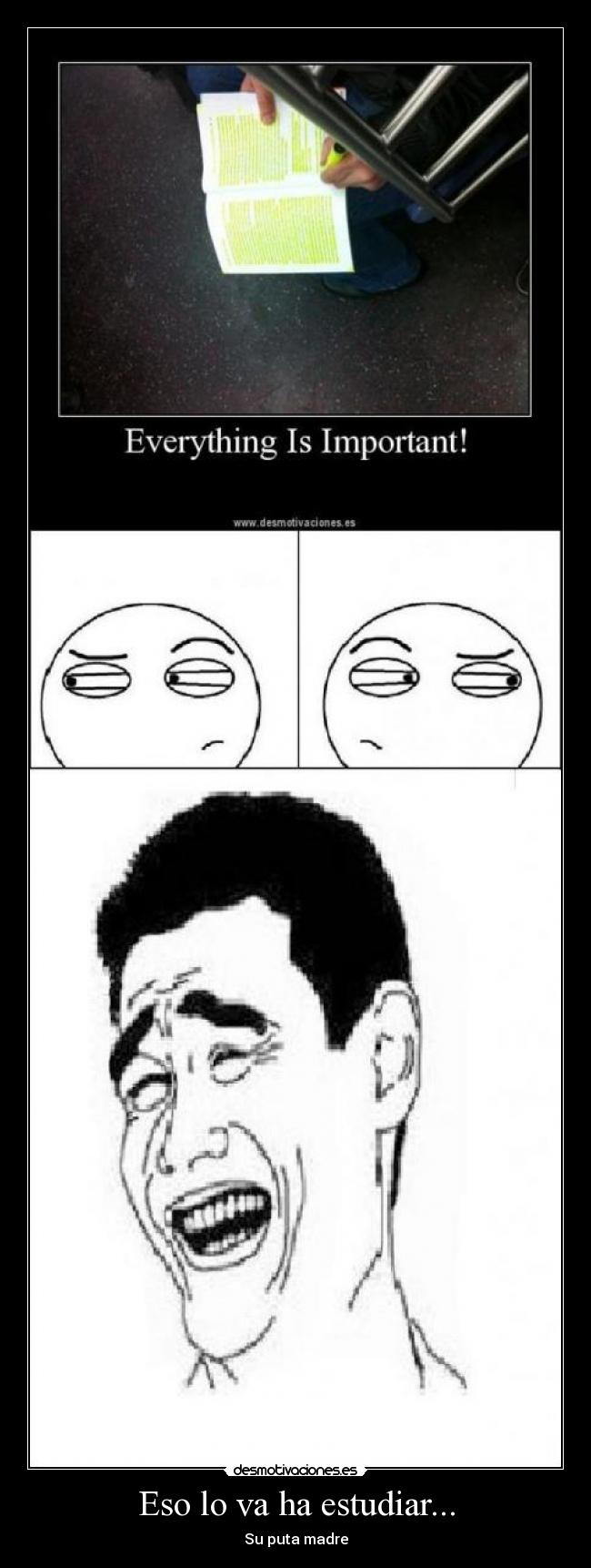 carteles estudiar puta madre desmotivaciones